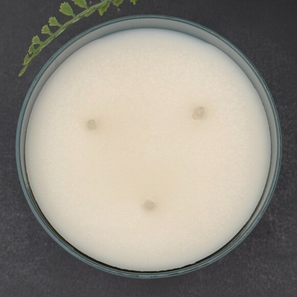 BBW Snowflakes & Citrus White Barn Bath & Body Works 3 Wick Candle - Picture 7 of 10